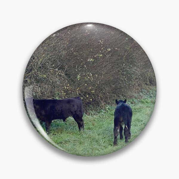 Item preview, Calves Loose on the road designed and sold by Kate Anderson Art.