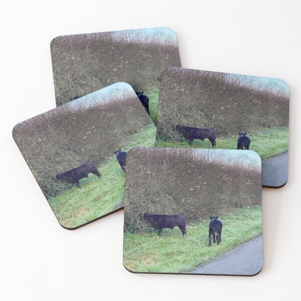 Item preview, Calves Loose on the road designed and sold by Kate Anderson Art.