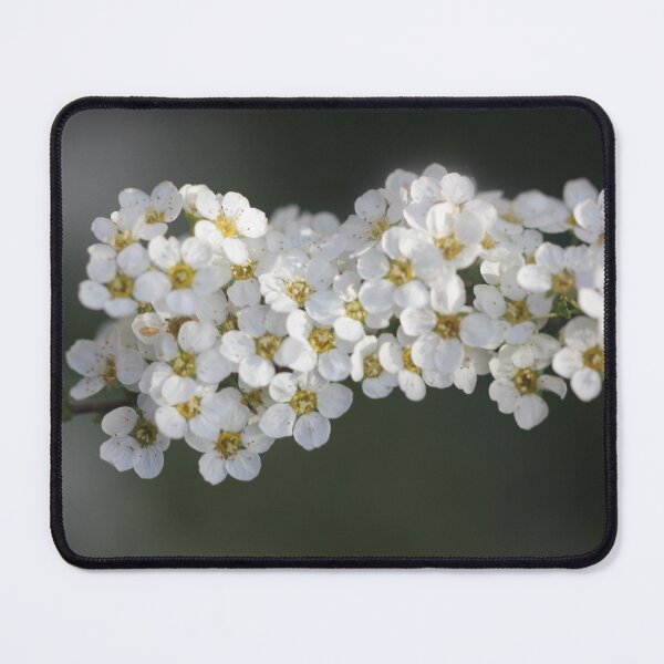 Item preview, Firethorn in an English Garden designed and sold by Kate Anderson Art.