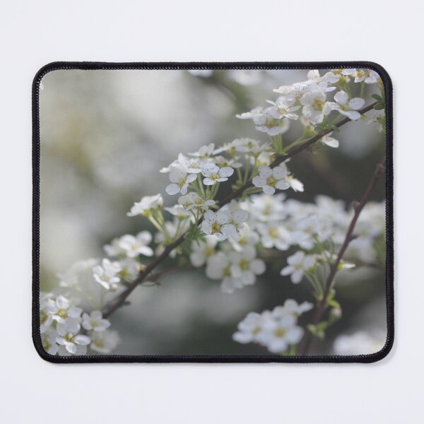 Item preview, Firethorn in an English Garden designed and sold by Kate Anderson Art.