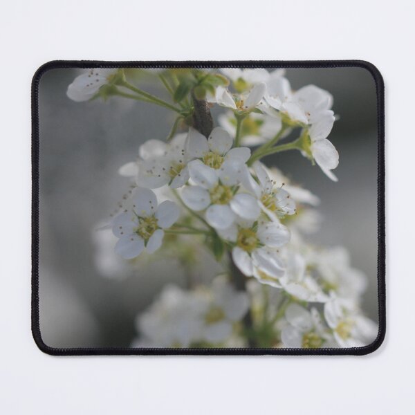 Item preview, Firethorn in an English Garden designed and sold by Kate Anderson Art.