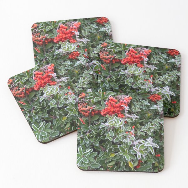 Item preview, Firethorn in an English Garden designed and sold by Kate Anderson Art.