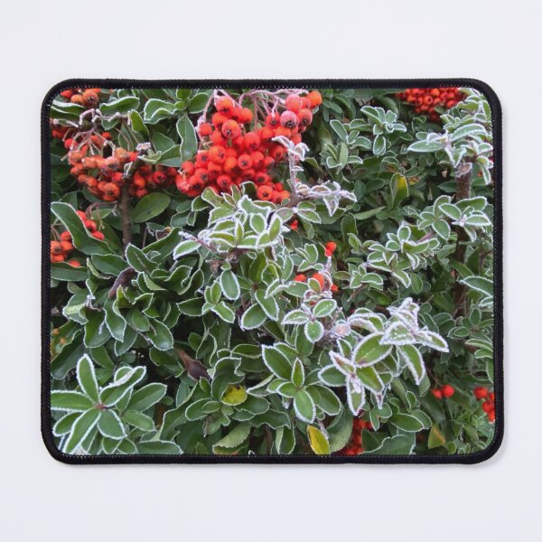 Item preview, Firethorn in an English Garden designed and sold by Kate Anderson Art.