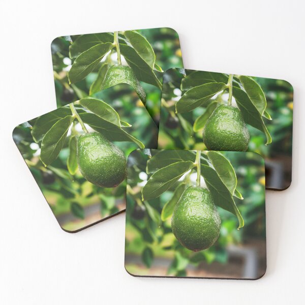 Item preview, Real avocado on tree designed and sold by EmeraldeaArt.