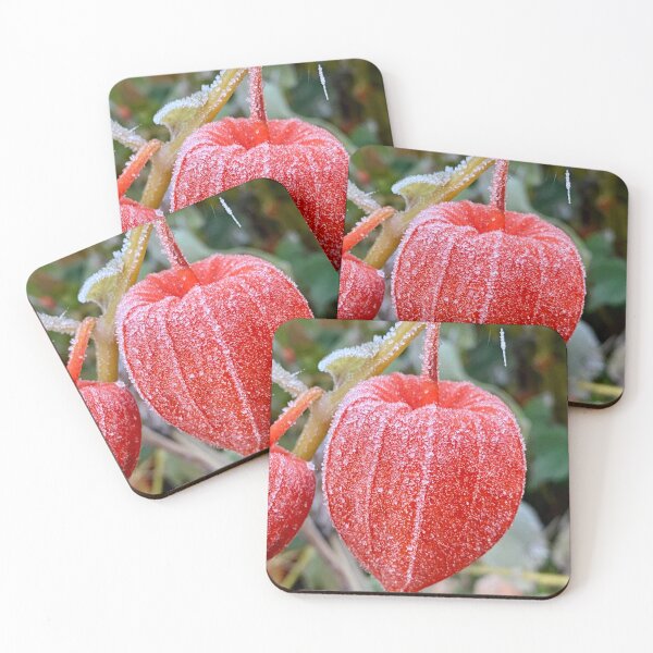 Item preview, Peruvian Cape Gooseberry in my Garden designed and sold by Kate Anderson Art.