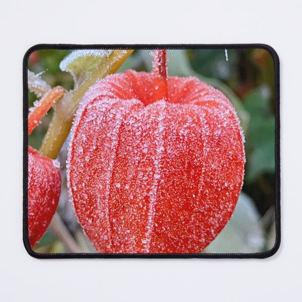 Item preview, Peruvian Cape Gooseberry in my Garden designed and sold by Kate Anderson Art.