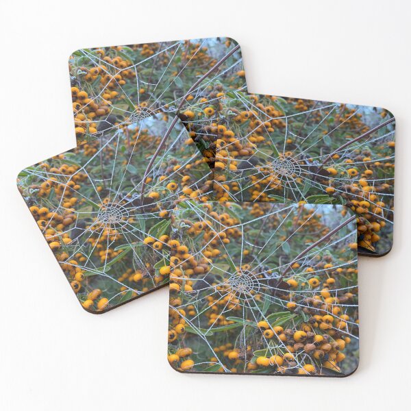 Item preview, Spider's Web on Firethorn designed and sold by Kate Anderson Art.