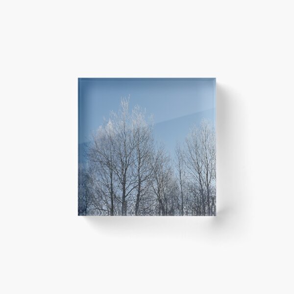 Item preview, Winter in the forest designed and sold by Abaj.