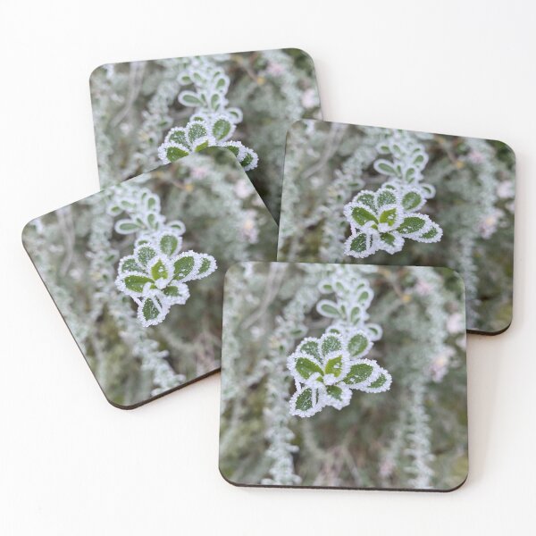 Item preview, Frosty Cotoneaster designed and sold by Kate Anderson Art.