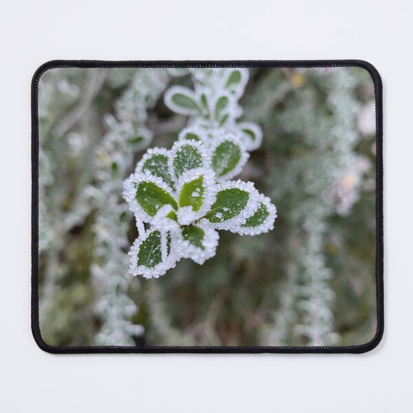 Item preview, Frosty Cotoneaster designed and sold by Kate Anderson Art.