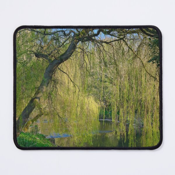 Item preview, Weeping Willow on the River Blyth designed and sold by Violaman.