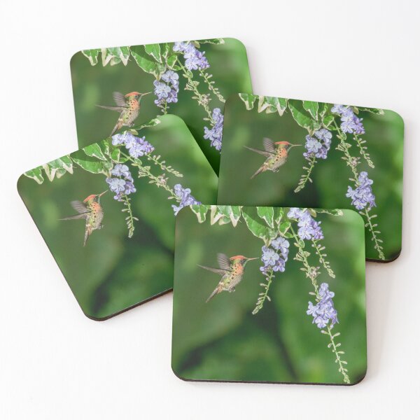 Item preview, Sipping nectar - Tufted coquette designed and sold by Rachel Lee Young - Land of the Hummingbird.