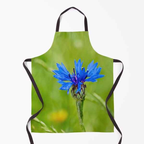 Artikelvorschau, Leuchtend blaue Kornblume entworfen und verkauft von beatbieri.ch.