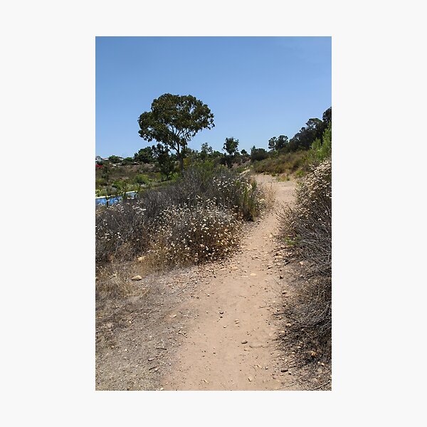 Item preview, A Pebbly Path Near the Lake  designed and sold by heatherfriedman.