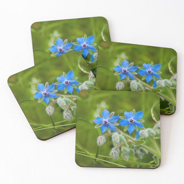 Item preview, Bright blue borage designed and sold by beatbieri.ch.
