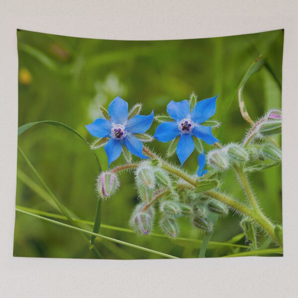 Item preview, Bright blue borage designed and sold by beatbieri.ch.