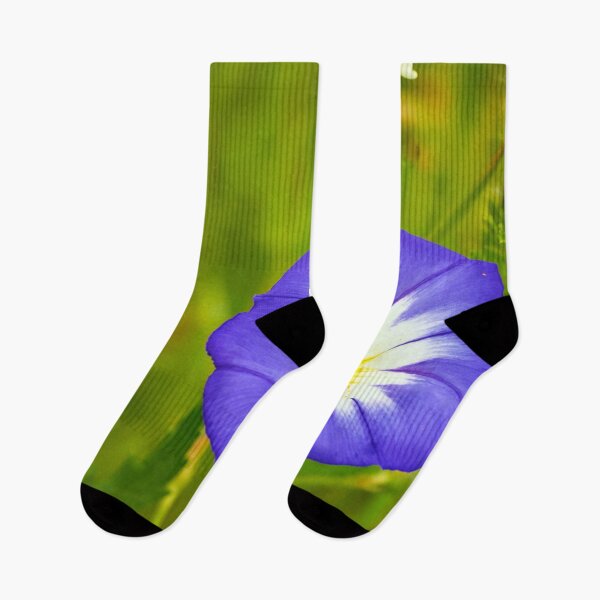 Item preview, Tricolor bindweed in gentle bloom designed and sold by beatbieri.ch.
