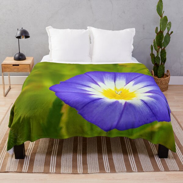 Item preview, Tricolor bindweed in gentle bloom designed and sold by beatbieri.ch.