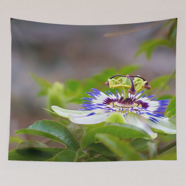 Item preview, Exotic beauty of the passion flower designed and sold by beatbieri.ch.