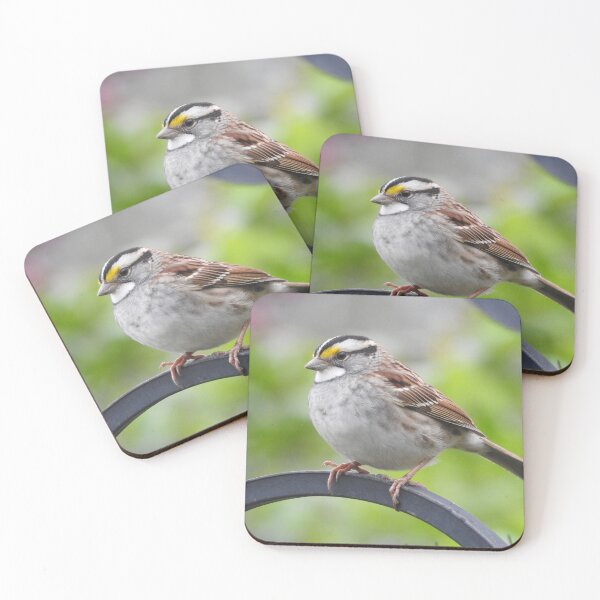 Item preview, White-throated Sparrow designed and sold by priesterjen.