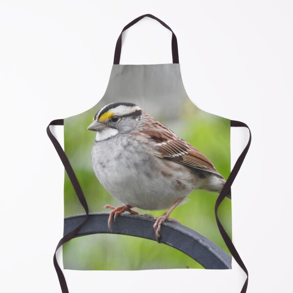 Item preview, White-throated Sparrow designed and sold by priesterjen.
