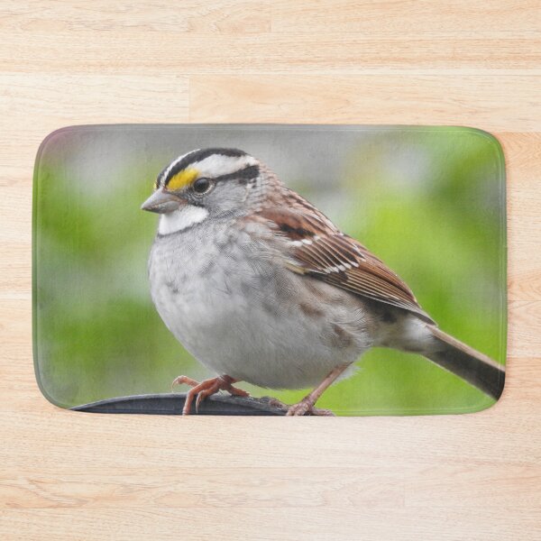 Item preview, White-throated Sparrow designed and sold by priesterjen.