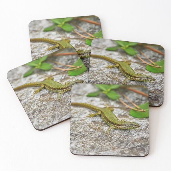 Item preview, Lizard sunbathing designed and sold by beatbieri.ch.