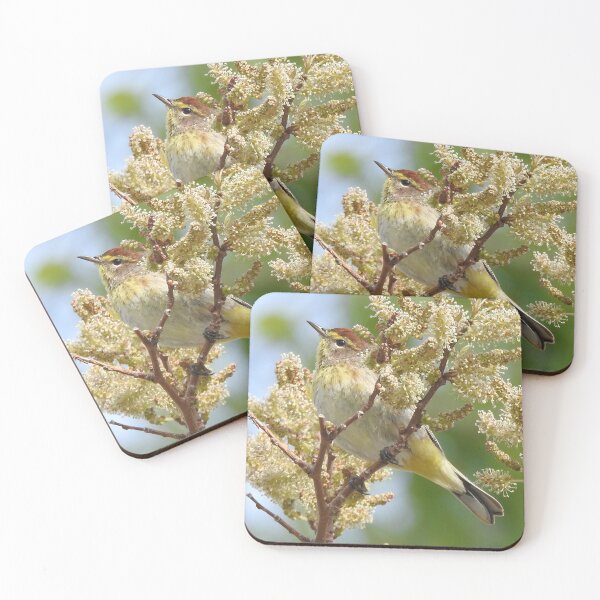 Item preview, Palm Warbler designed and sold by priesterjen.
