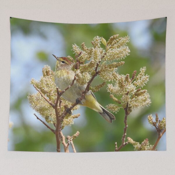 Item preview, Palm Warbler designed and sold by priesterjen.