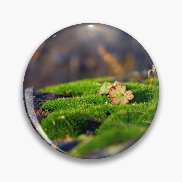 Item preview, Splashes of color in the moss designed and sold by beatbieri.ch.