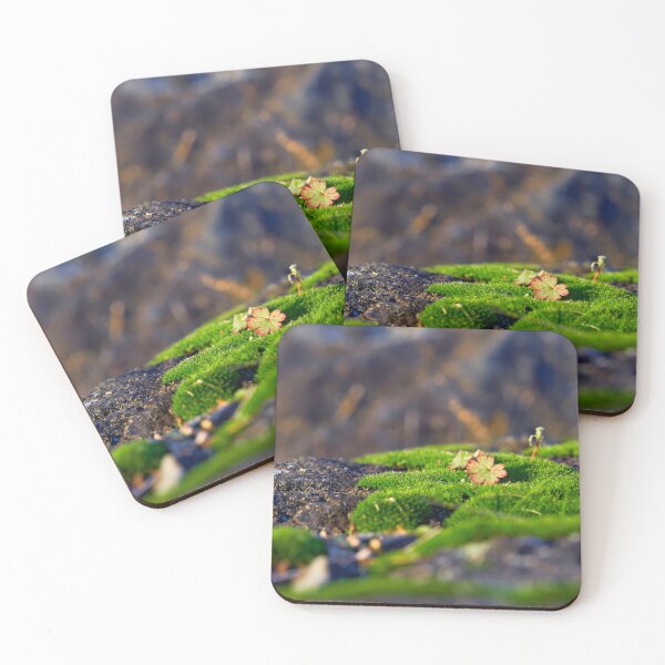 Item preview, Splashes of color in the moss designed and sold by beatbieri.ch.