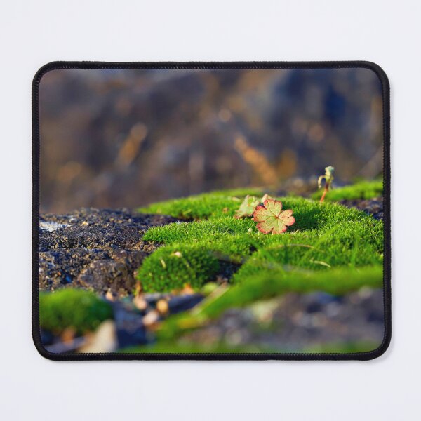 Item preview, Splashes of color in the moss designed and sold by beatbieri.ch.