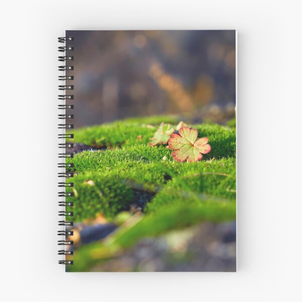 Item preview, Splashes of color in the moss designed and sold by beatbieri.ch.