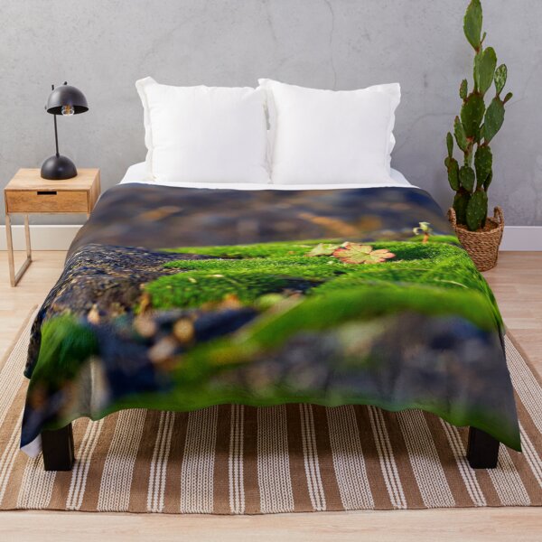 Item preview, Splashes of color in the moss designed and sold by beatbieri.ch.