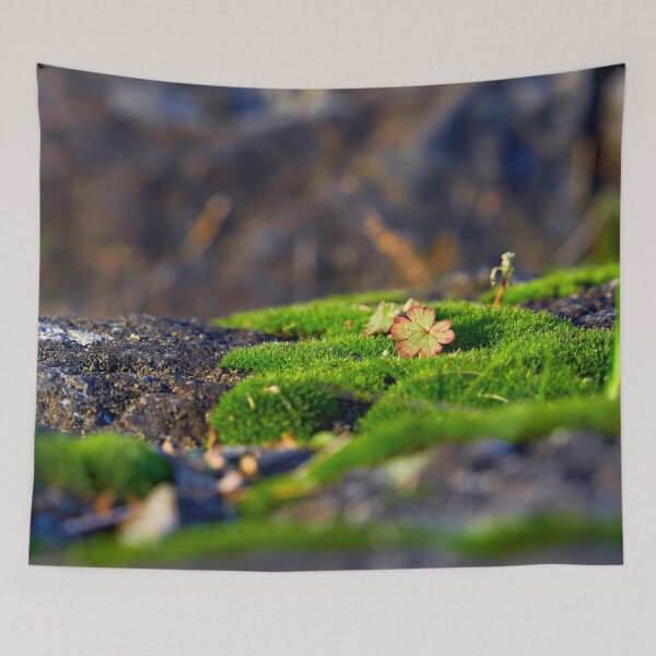 Item preview, Splashes of color in the moss designed and sold by beatbieri.ch.