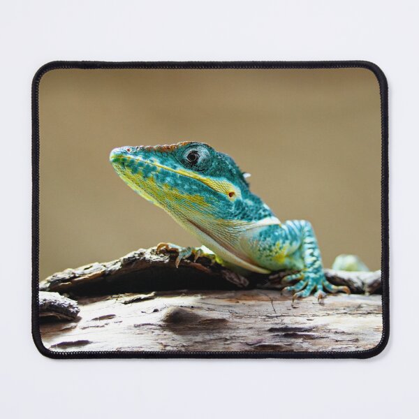 Item preview, Curious lizard in view designed and sold by beatbieri.ch.