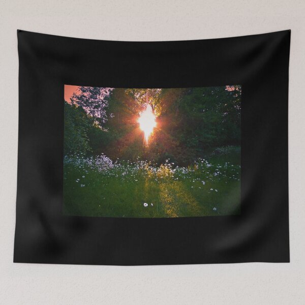 Item preview, WILD DAISIES IN THE SETTING SUN'S LIGHT! designed and sold by Elaine Bawden.