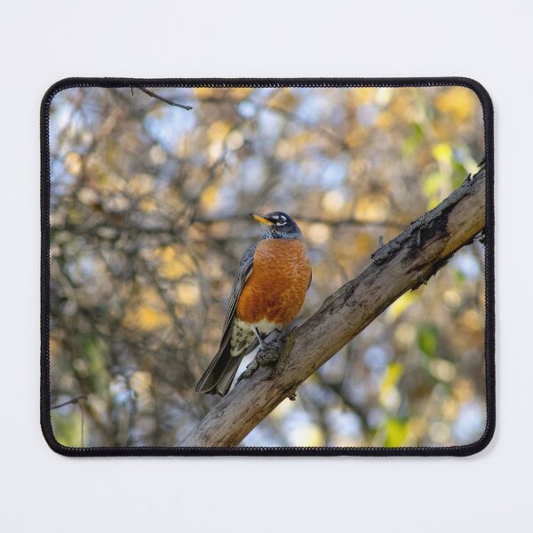 Item preview, Robin In A Tree designed and sold by BeautyOfTheWild.