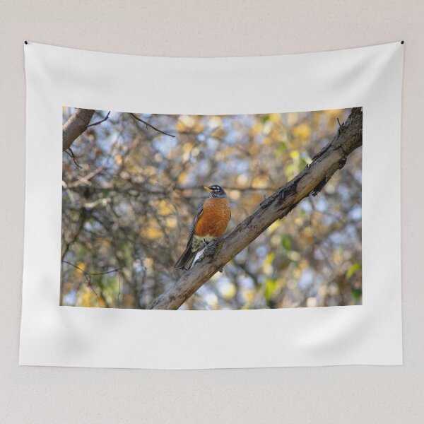 Aperçu de l'œuvre Robin dans un arbre créée et vendue par BeautyOfTheWild.