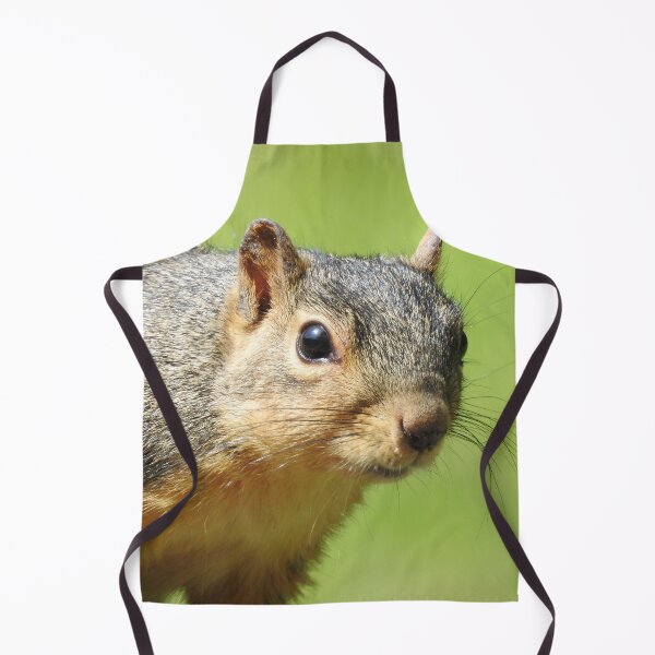 Item preview, Squirrel Close-up designed and sold by priesterjen.
