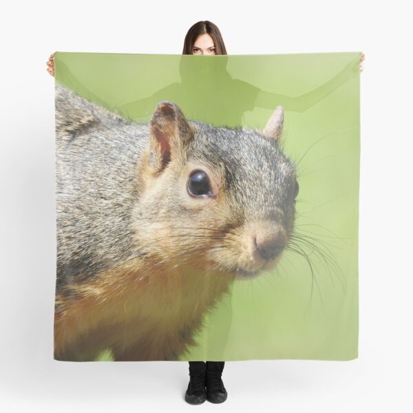 Item preview, Squirrel Close-up designed and sold by priesterjen.