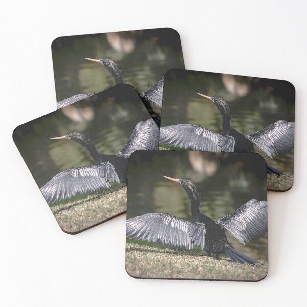 Item preview, Anhinga In The Sun designed and sold by BeautyOfTheWild.