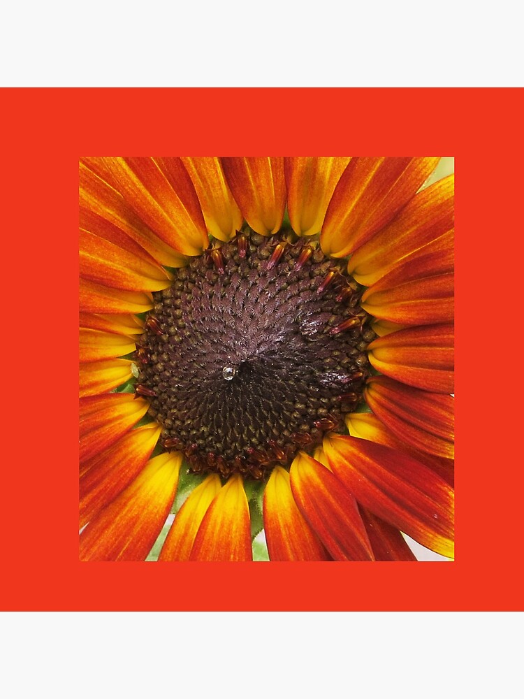 Thumbnail 3 of 3, Pin, Sunflower Nectar designed and sold by Eclectic-Kim.