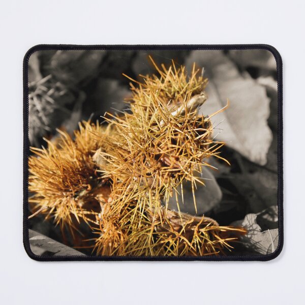 Item preview, Horse Chestnut designed and sold by Rachel J Bowler.