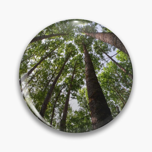 Item preview, Aspen twist designed and sold by Jouko Lehto Photography.