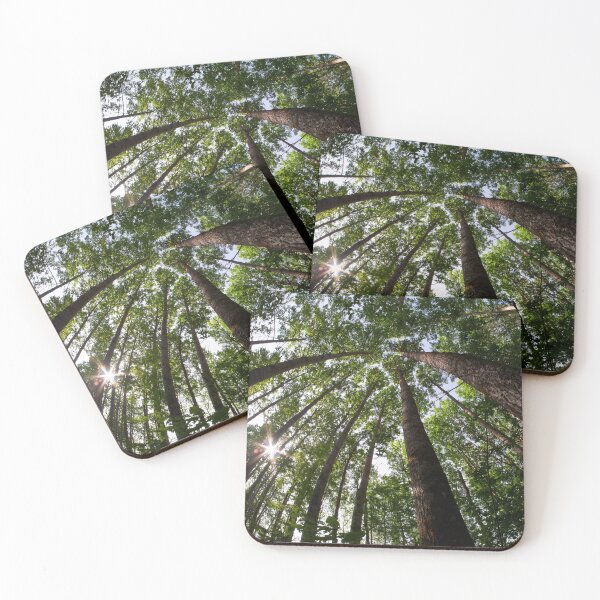 Item preview, Aspen twist designed and sold by Jouko Lehto Photography.
