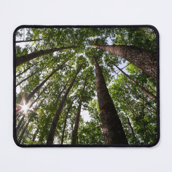 Item preview, Aspen twist designed and sold by Jouko Lehto Photography.