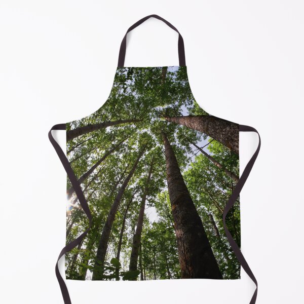 Item preview, Aspen twist designed and sold by Jouko Lehto Photography.