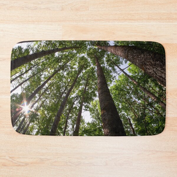 Item preview, Aspen twist designed and sold by Jouko Lehto Photography.