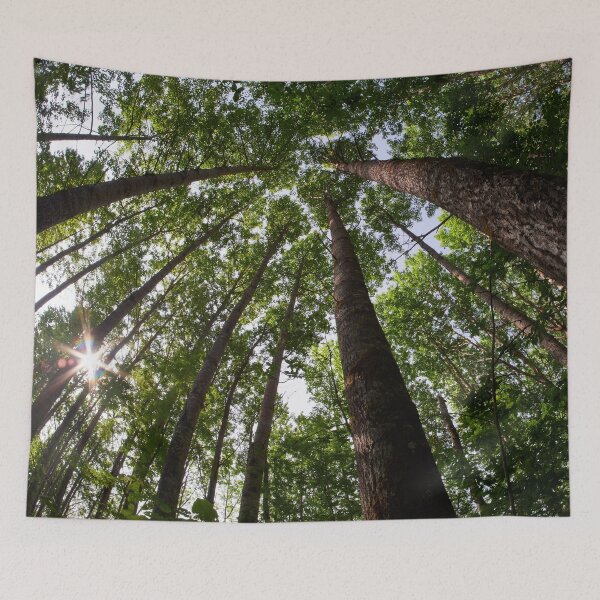 Item preview, Aspen twist designed and sold by Jouko Lehto Photography.